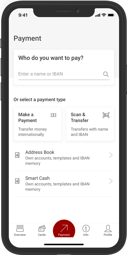 bawag-sepapayment-01